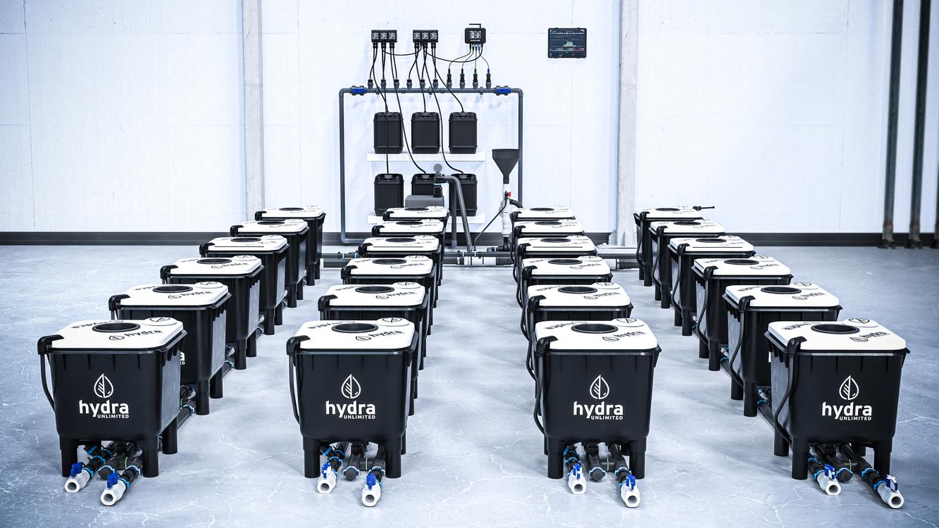 RDWC System