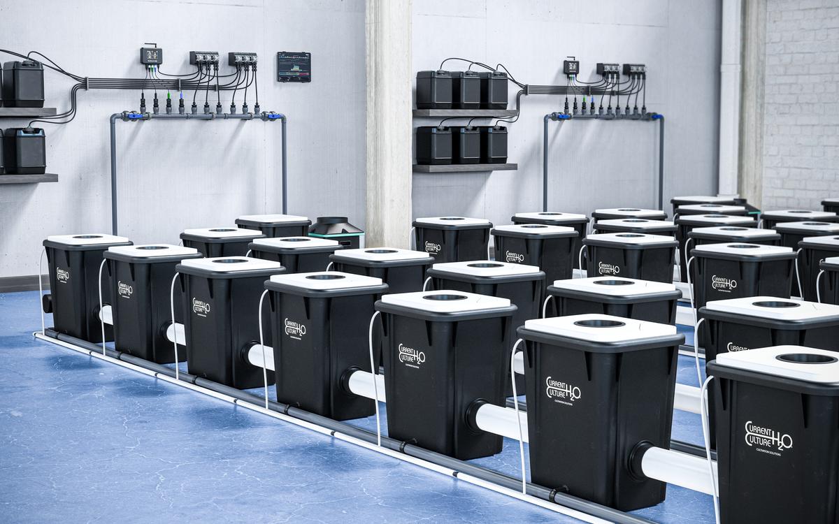 RDWC System