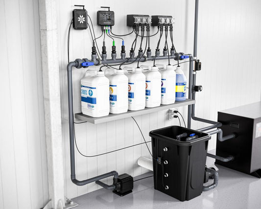 RDWC System